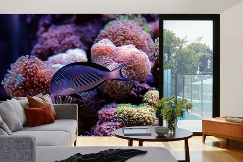 Vlies Fototapete - Fisch mit Korallen 375 x 250 cm